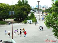 2015.8.23nb004 2015.8.23nb004